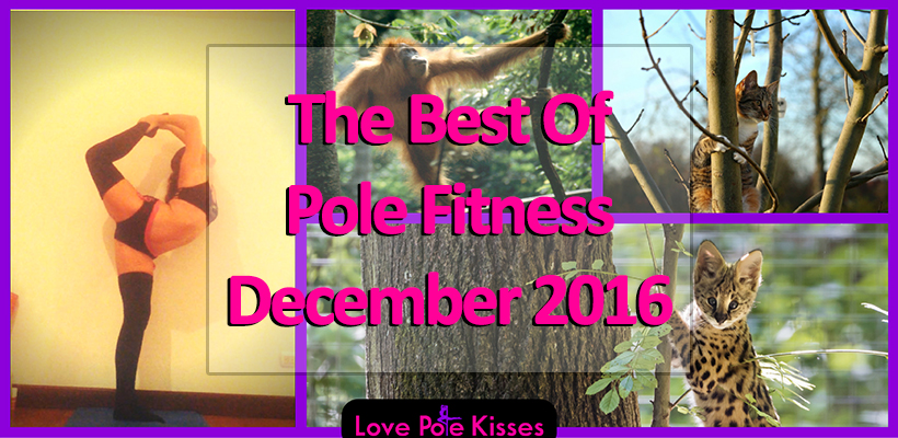 The best of pole dance & fitness December